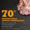 ACANA Highest Protein, Meadowland, Grain Free Dry Dog Food, 25lb