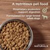 DIAMOND NATURALS Dry Food for Adult Dogs, Large Breed 60+ Chicken Formula, 40 Pound Bag, 40 lb