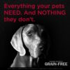 Diamond Naturals Grain Free Real Meat Recipe Premium Dry Dog Food With Real Cage Free Chicken 28Lb Diamond Naturals Grain Free Real Meat Recipe Premium Dry Dog Food With Real Cage Free Chicken 28Lb