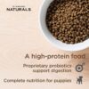 Diamond Naturals Small Breed Puppy Real Chicken Recipe High Protein Dry Dog Food 40 Pound (Pack of 1)