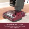 Kenmore BU3040 Intuition Lite Bagged Upright Vacuum Lightweight Cleaner 2-Motor Power Suction with HEPA Filter