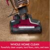 Kenmore BU4020 Intuition Bagged Upright Vacuum Lift-Up Carpet Cleaner 2-Motor Power Suction with HEPA Filter