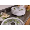 NESCO FD-37 Food Dehydrator, For Snacks, Fruit, Beef Jerky