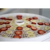 Nesco FD-1018A Gardenmaster Pro Food Dehydrator, for Jerky and Snacks, White