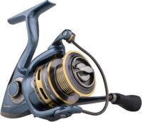 Pflueger President Spinning Fishing Reel, Size 40