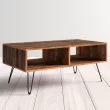Trent Austin Design 42 in. Vintage Coffee Table, Reclaimed Wood Coffee Table with Open Storage, Living Room Central Table with Foldable Legs