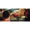 Hilti 2257601 22-Volt Cordless Brushless Variable Speed GDG 6 Die Grinder (Tool-Only)