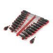 TEKTON DRV41502 High-Torque Black Oxide Blade Screwdriver Set, 22-Piece (#0-#3,1/8-5/16 in., T10-30) - Red Rails