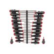 TEKTON DRV41507 High-Torque Black Oxide Blade Screwdriver Set with Black Rails, 22-Piece (#0-#3,1/8-5/16 in., T10-30)