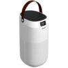 Galanz GLAP40WEEA11A HEPA Type Air Purifier with Handle