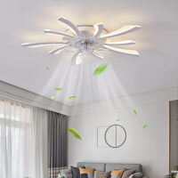 30.7" Ceiling Fans with Lights and Remote Control,Modern Flush Mount 3 Color Changeable, 6 Speeds Dimmable Round Low Profile Ceiling Fan for Bedroom Children's Room Dining Room Living Room