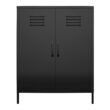 Shadwick 2 Door Metal Locker Style Accent Storage Cabinet, Black