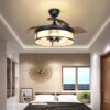 DingLiLighting Industrial Ceiling Fan with Light, 42