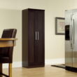 Sauder Homeplus Storage Cabinet, Dakota Oak Finish