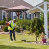 ECHO DSRM-2600BT eFORCE 56V X Series 17 in. Brushless Cordless Battery String Trimmer (Tool Only) ECHO DSRM-2600BT eFORCE 56V X Series 17 in. Brushless Cordless Battery String Trimmer (Tool Only)