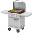 LOCO 2023050165 26 in 2-Burner Propane Griddle in Chalk Finish with Enclosed Cart and Hood