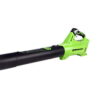 Greenworks 40V Axial Blower (120 MPH / 450 CFM), Tool Only BL40B01