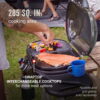 Coleman RoadTrip x-Cursion 2 Burner Propane Gas Portable Grill, Black Coleman RoadTrip x-Cursion 2 Burner Propane Gas Portable Grill, Black