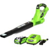 Greenworks 24V 135 CFM Cordless Leaf Blower with 2.0 Ah Battery and Charger, 24352