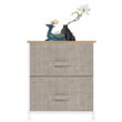 Zimtown Nightstand with 2 Drawers - Bedside Furniture & Accent End Table Chest Linen