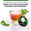 Organic Peppermint Tea Pods for Keurig Compatible Brewers | Brew Peppermint Tea Pods for Hot Tea or Over Ice | Peppermint Tea Pods for k-cup brewing work with kcup machines Tea Pods by Teavity (Organic Peppermint, 1 Count (pack of 36))