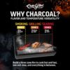 Char-Griller 2175 Classic Charcoal Grill in Black