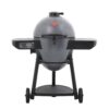 Char-Griller 6480 Akorn Auto-Kamado 20-inch Digital WiFi Charcoal Grill in Gray