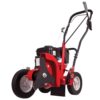 Southland SWLE0799 9 in. 79 cc Gas Walk-Behind Edger with Curb Hopping Feature