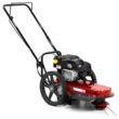 Toro 58620 22 in. 163cc Walk Behind String Mower, Cutting Swath with 4-Cycle Briggs and Stratton Engine