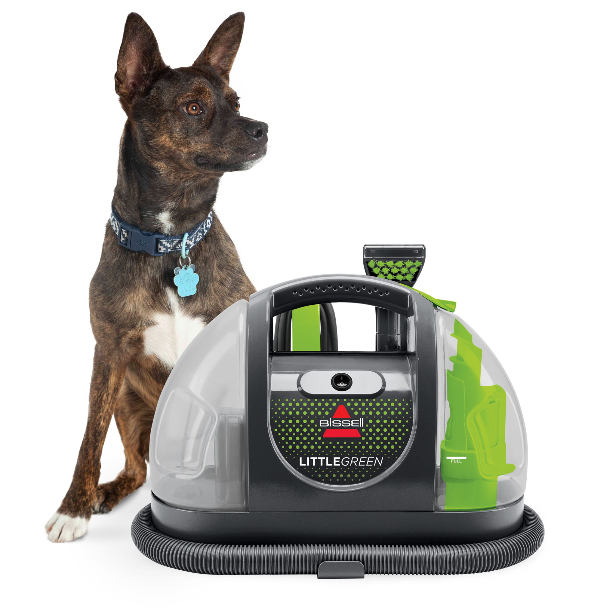 Bissell TurboClean PowerBrush Pet Carpet Cleaner, 2987,Green/ Black ...