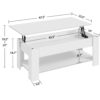SMILE MART Modern 47.5" Wood Lift Top Coffee Table with Lower Shelf, White SMILE MART Modern 47.5" Wood Lift Top Coffee Table with Lower Shelf, White