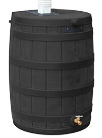 Good Ideas RW40-GRN Rain Wizard Rain Barrel 40-Gallon, Green