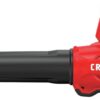 CRAFTSMAN V20 Cordless Leaf Blower, Variable Speed, Up To 100 MPH, with 2 Batteries and Charger (CMCBL720D2)
