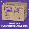 Luvs Diapers - Size 2, 264 Count, Bluey Disposable Baby Diapers, Packaging May Vary