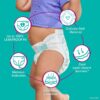 Pampers Cruisers Diapers Size 4 124 Count