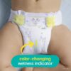 Pampers Swaddlers Newborn Diaper Size 2 148 Count