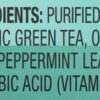 Teas' Tea Unsweetened Mint Green Tea 16.9 Ounce (Pack of 12) Organic, Sugar Free, Zero calorie