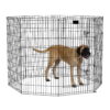 MidWest Home for Pets Dog Foldable Metal Exercise Playpen with Door, 48"H MidWest Home for Pets Dog Foldable Metal Exercise Playpen with Door, 48"H