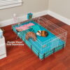MidWest Guinea Habitat Guinea Pig Home MidWest Guinea Habitat Guinea Pig Home
