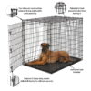 MidWest Homes For Pets XX-Large Single Door Metal Wire Dog Crate, 54"