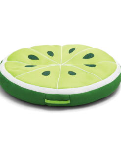 Big Joe Outdoor Fruit Slice Pool Float
