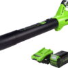 Greenworks 40V (120 MPH / 450 CFM) Cordless Axial Blower, 4Ah USB Battery (USB Hub) and Charger Included