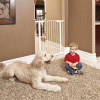 MidWest 39" White Steel Pet Gate