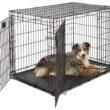 Midwest Life Stage Dble Door Crate 42in