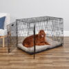 MidWest Homes For Pets Double Door iCrate Metal Dog Crate, 42