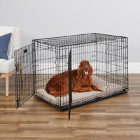 MidWest Homes For Pets Double Door iCrate Metal Dog Crate, 42"