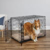 MidWest Homes For Pets Double Door iCrate Metal Dog Crate, 48