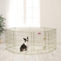 MidWest Homes For Pets Foldable Metal Exercise Pen, Playpen, Gold zinc with door, 24"W x 30"H