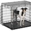 MidWest Homes For Pets Ultima Pro Extra-Strong Double Door Folding Metal Dog Crate, 30