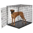MidWest Homes For Pets XX-Large Single Door Metal Wire Dog Crate, 54